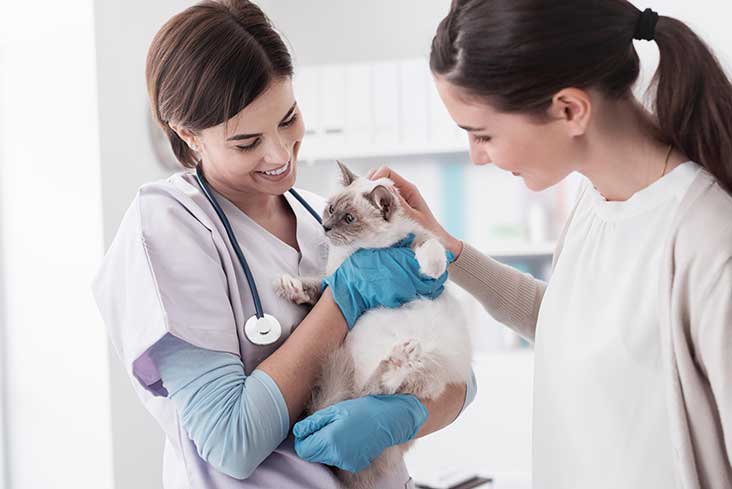 Veterinarian with Animals